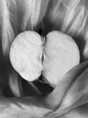 %C3%84pple%20vulva%20HS